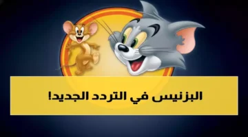 بث بجودة عالية.. ترددات قناة توم وجيري الجديدة تستقطب 80% من الأطفال بمصر والدول العربية